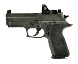 Sig Sauer P229 9mm
(PR46063) - 1 of 3