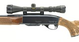Remington 742 .243 Win (R25637)- 4 of 4
