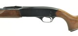 Winchester 270 .22 S, L, LR (W10252)
- 4 of 5