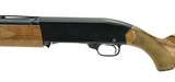 "Winchester 240W 12 Gauge (W10258)" - 5 of 5