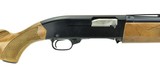 "Winchester 240W 12 Gauge (W10258)" - 4 of 5