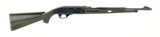 Remington Nylon 66 .22 LR (R25760) - 1 of 4