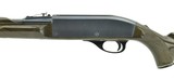 Remington Nylon 66 .22 LR (R25760) - 2 of 4