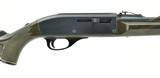 Remington Nylon 66 .22 LR (R25760) - 4 of 4