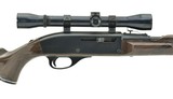 Remington Nylon 66 .22 LR (R25776) - 3 of 4