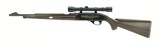 Remington Nylon 66 .22 LR (R25776) - 1 of 4