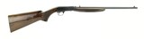 Browning Auto .22 LR (R25841) - 2 of 4