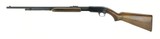 "Winchester 61 .22 S, L, LR (W10264)" - 6 of 6