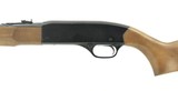 Winchester 190 .22 L, LR (W10329) - 4 of 5