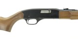 Winchester 190 .22 L, LR (W10329) - 2 of 5