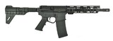 Wise Arms WA-15B .300 Blackout (nPR47734) New - 4 of 4