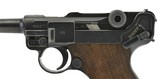 Mauser Luger 9mm (PR47985) - 8 of 9