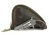  NAA Mini .22 Magnum
(PR48055) - 3 of 3
