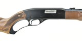 Winchester 250 .22 S, L, LR (W10442)
- 5 of 5