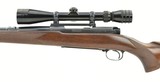 Winchester 70 .257 Roberts (W10445) - 6 of 7