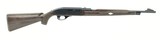 Remington Nylon 66 .22 LR (R26461) - 1 of 4