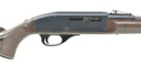 Remington Nylon 66 .22 LR (R26461) - 3 of 4