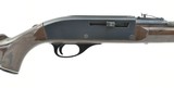 Remington Nylon 66 .22 LR (R26466) - 2 of 4
