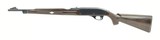 Remington Nylon 66 .22 LR (R26466) - 1 of 4