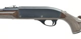 Remington Nylon 66 .22 LR (R26466) - 3 of 4