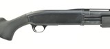 Browning BPS Field 10 Gauge (S11318) - 3 of 4