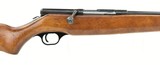 Western Field M150D .410 Gauge (S11334)
- 4 of 4