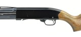 Winchester 120 20 Gauge (W10521) - 2 of 5