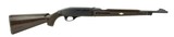 Remington Nylon 66 .22 LR (R26787) - 3 of 4
