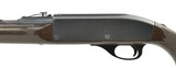 Remington Nylon 66 .22 LR (R26787) - 1 of 4