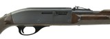 Remington Nylon 66 .22 LR (R26787) - 2 of 4