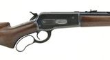 Winchester 71 .348 WCF (W10562)
- 2 of 7