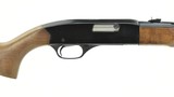 Winchester 190 .22 L, LR (W10574) - 1 of 5