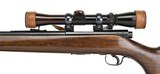 Winchester 43 .22 Hornet (W10580) - 5 of 6