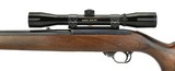 Ruger 10/22 Carbine .22 LR (R27281)
- 1 of 5