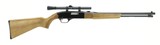 "Winchester 190 .22 S, L, LR (W10699)" - 1 of 6