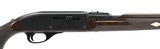 Remington Nylon 66 .22 LR (R27711)
- 4 of 5
