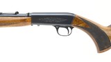 Browning Auto .22 LR (R27999)
- 3 of 4
