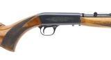 Browning Auto .22 LR (R27999)
- 2 of 4