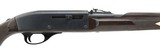 Remington Nylon 66 .22 LR (R28013) - 1 of 4