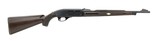 Remington Nylon 66 .22 LR (R28013) - 4 of 4