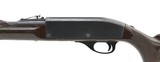 Remington Nylon 66 .22 LR (R28013) - 3 of 4