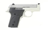 Smith & Wesson 2213 Compact .22 LR (PR50374)
- 2 of 2