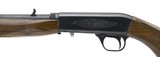 Browning Auto .22LR (R28044) - 4 of 4