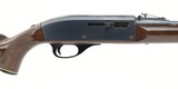 Remington Nylon 66 Mohawk .22 LR (R28181) - 1 of 4