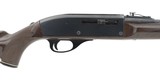"Remington Nylon 66 .22 LR (R28251)" - 3 of 4