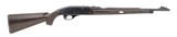 "Remington Nylon 66 .22 LR (R28251)" - 2 of 4