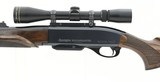"Remington 750 Woodsmaster .243 Win (R28289)" - 4 of 4