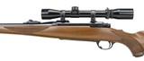 "Ruger M77 .243 Win (R28278)
" - 4 of 4