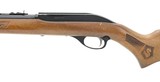 "Marlin 60 .22 LR (R28359)
" - 2 of 4