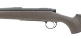 "Remington 700 American Wilderness .270 Win (R28439)" - 1 of 4